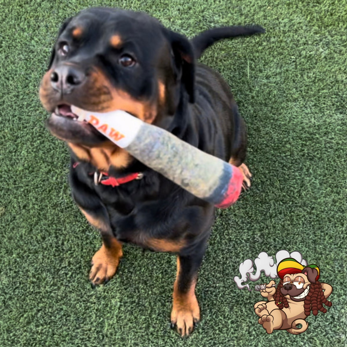 DoggyJoint - Puff Pawz