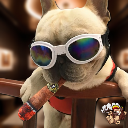 DoggyJoint - Pup Stogie