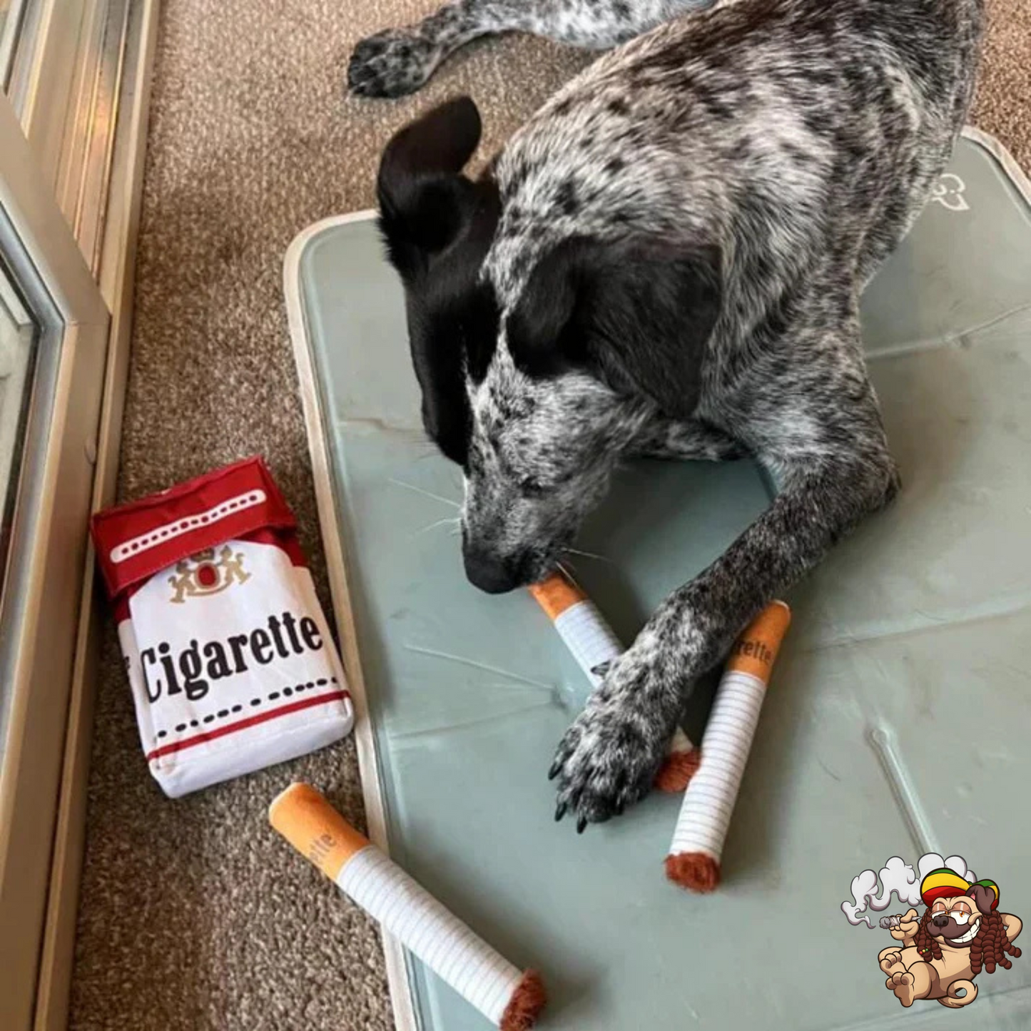 DoggyJoint - Puparette's