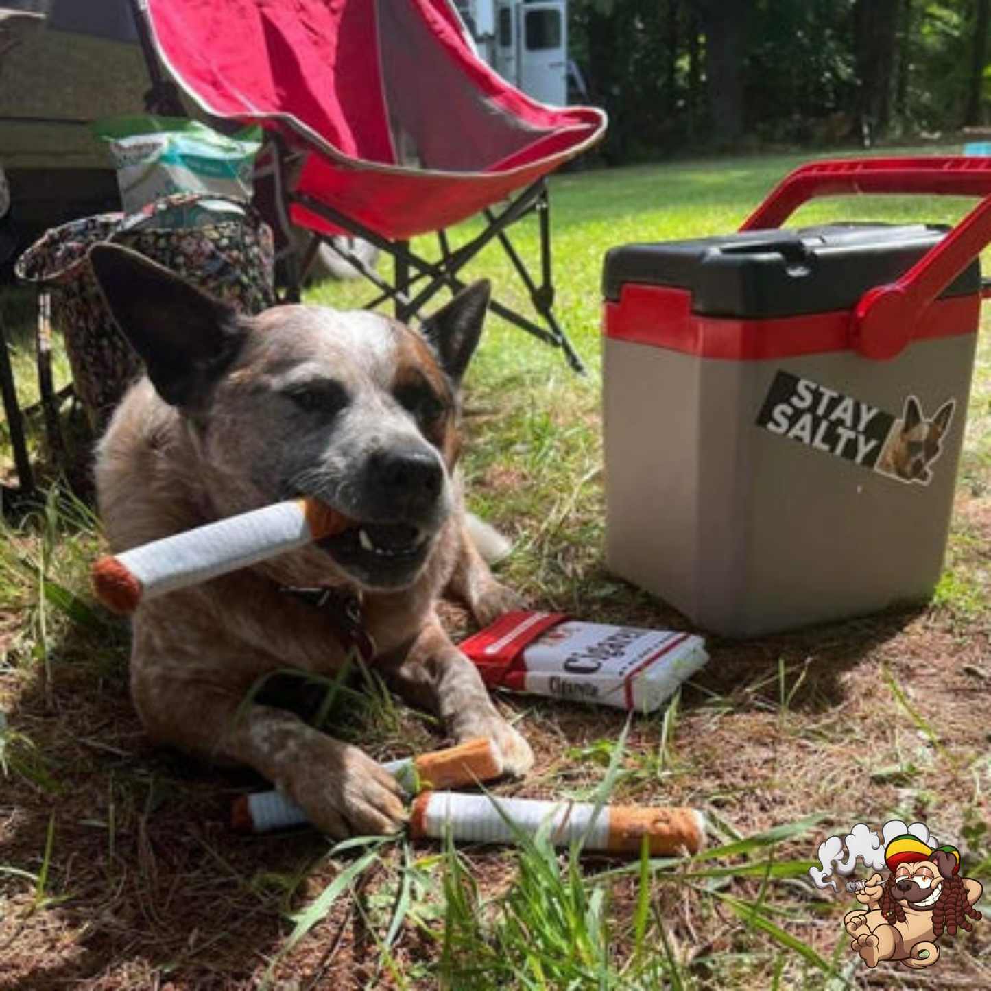 DoggyJoint - Puparette's